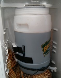 Fermentation Vessel in refrigerator - temperature probe taped to side of vessel in insulated holder