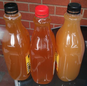 Cider racked into original 2L juice bottles