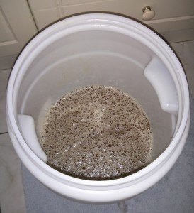 Aerated wort at 24C prior to pitching yeast.
