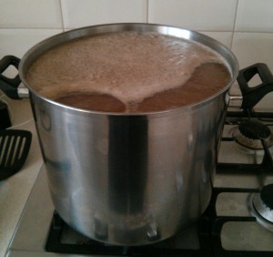Bringing Wort to the Boil