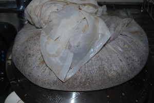 Expended Grain Bag